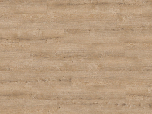 2244 Cashmere Oak_1024x768px