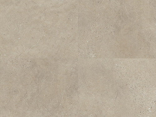 Fossil-Limestone-4537i