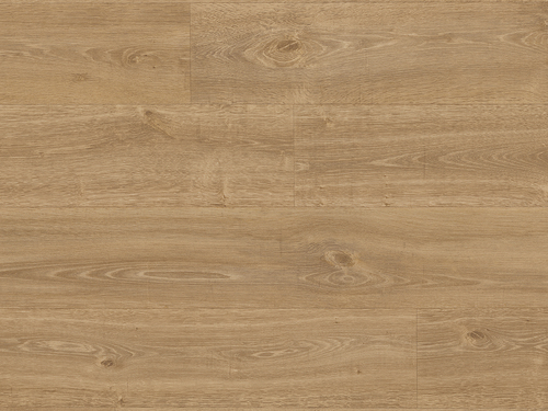 9823 English Oak