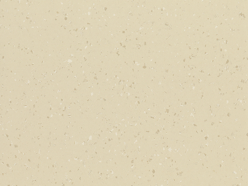 8654 Primed-Canvas